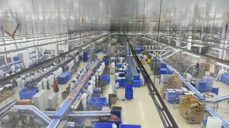 Экспорт сельхозпродукции Пензенской области превысил план