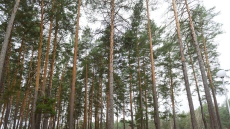 В Заречном начали благоустраивать территорию у главного храма