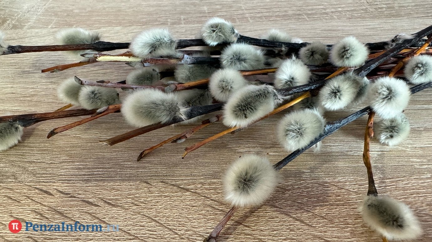 5 апреля - Вербное воскресенье