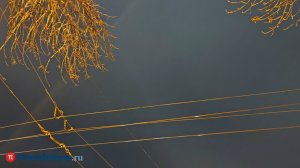 Над Пензенской областью ночью сбили беспилотник