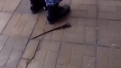 Молодой пензенец разнес вход в магазин на Шуисте