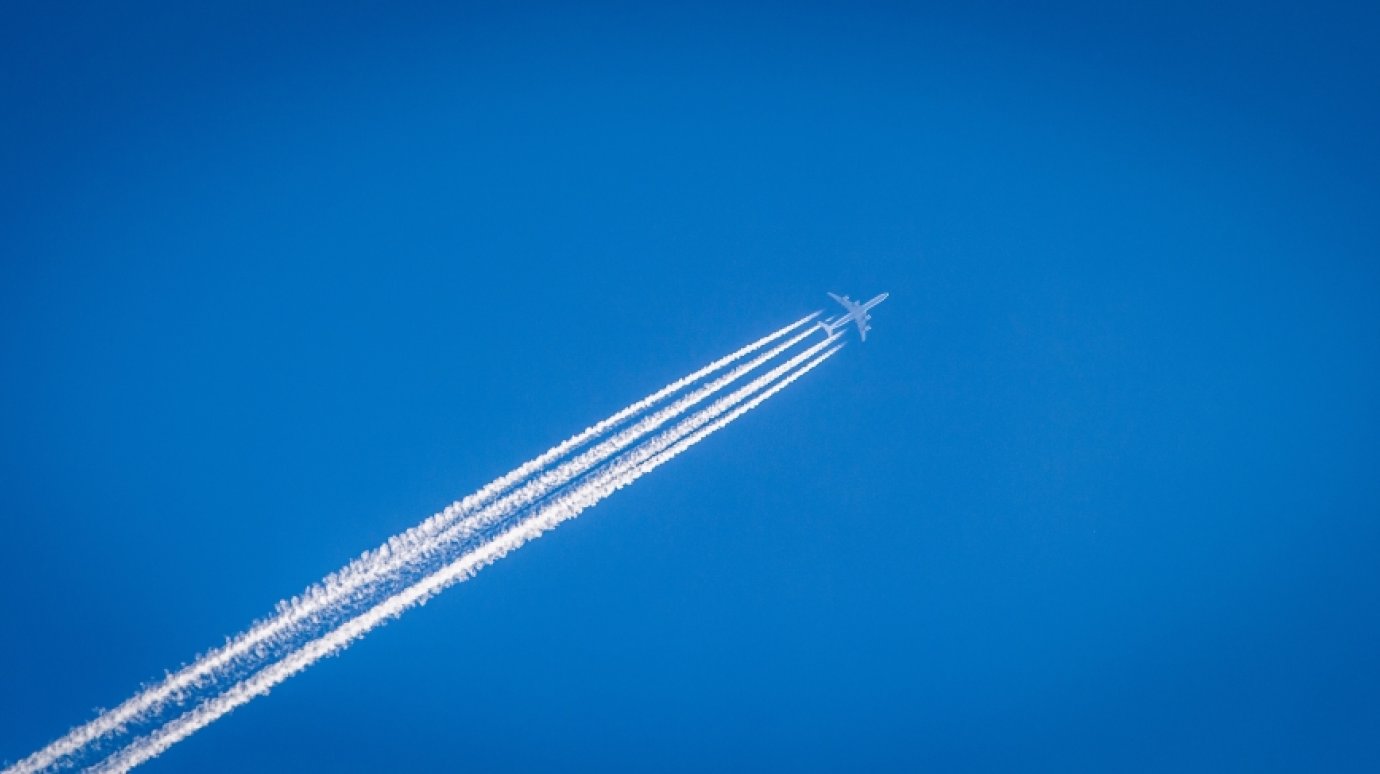 Названы самые эффективные способы помочь природе