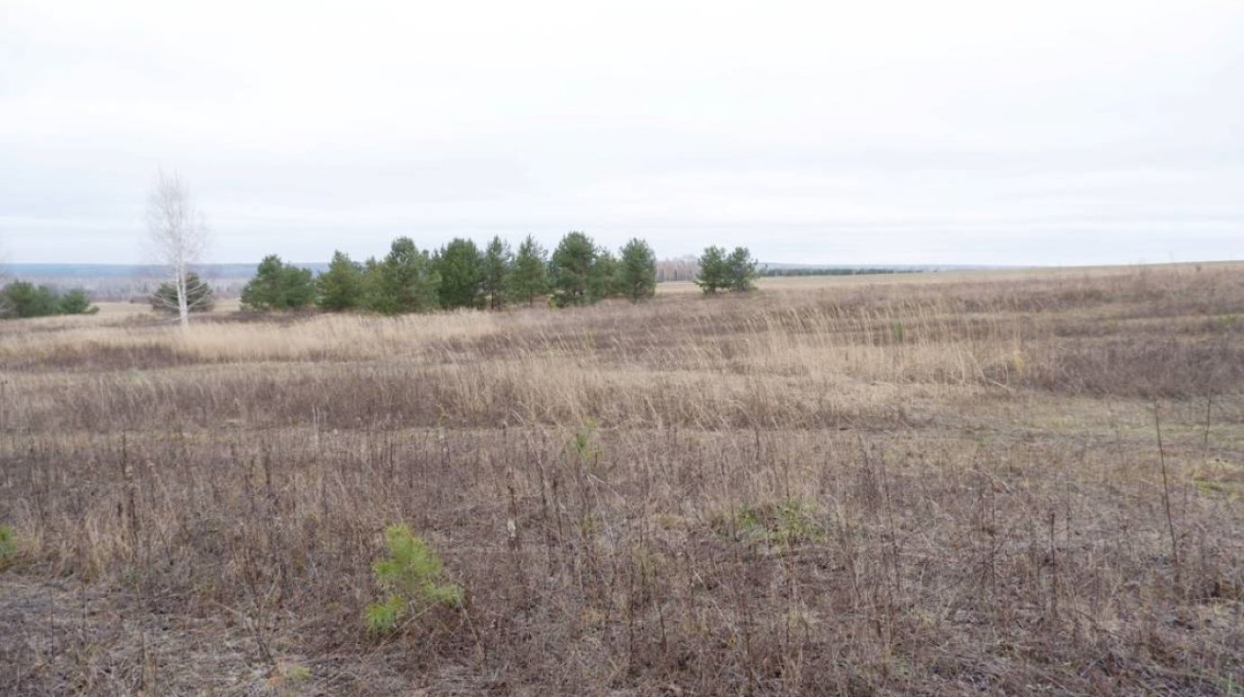 В Пензенском районе будут искать объекты археологического наследия