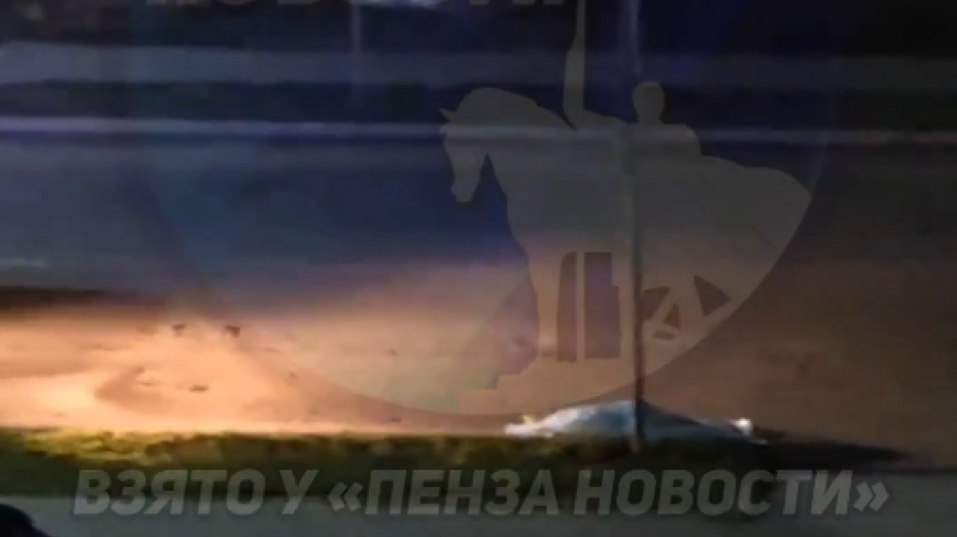 Соцсети: на ул. Изумрудной в Засечном насмерть сбили человека