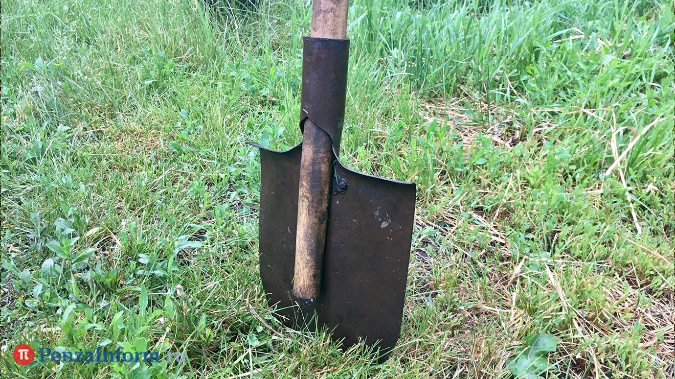 Дачный мастер-класс от Александра Власова