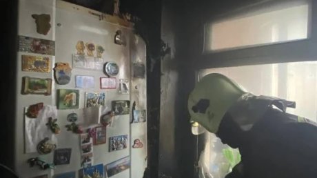 В Чемодановке выращивание рассады на подоконнике обернулось пожаром