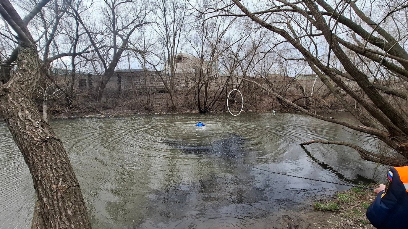 На ул. Фабричной собака запуталась в проволоке и повисла на дереве