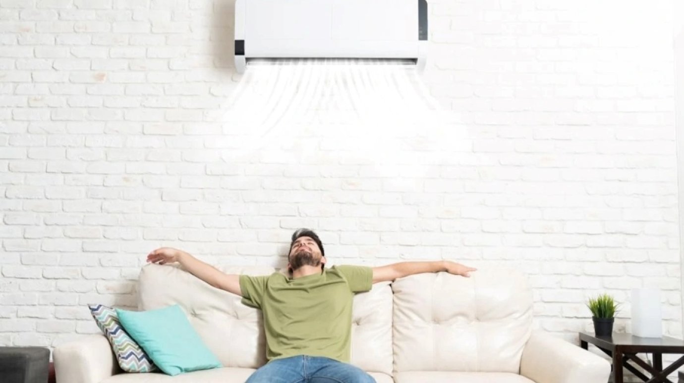 Аллергикам захотели выдавать сертификаты на очистители воздуха