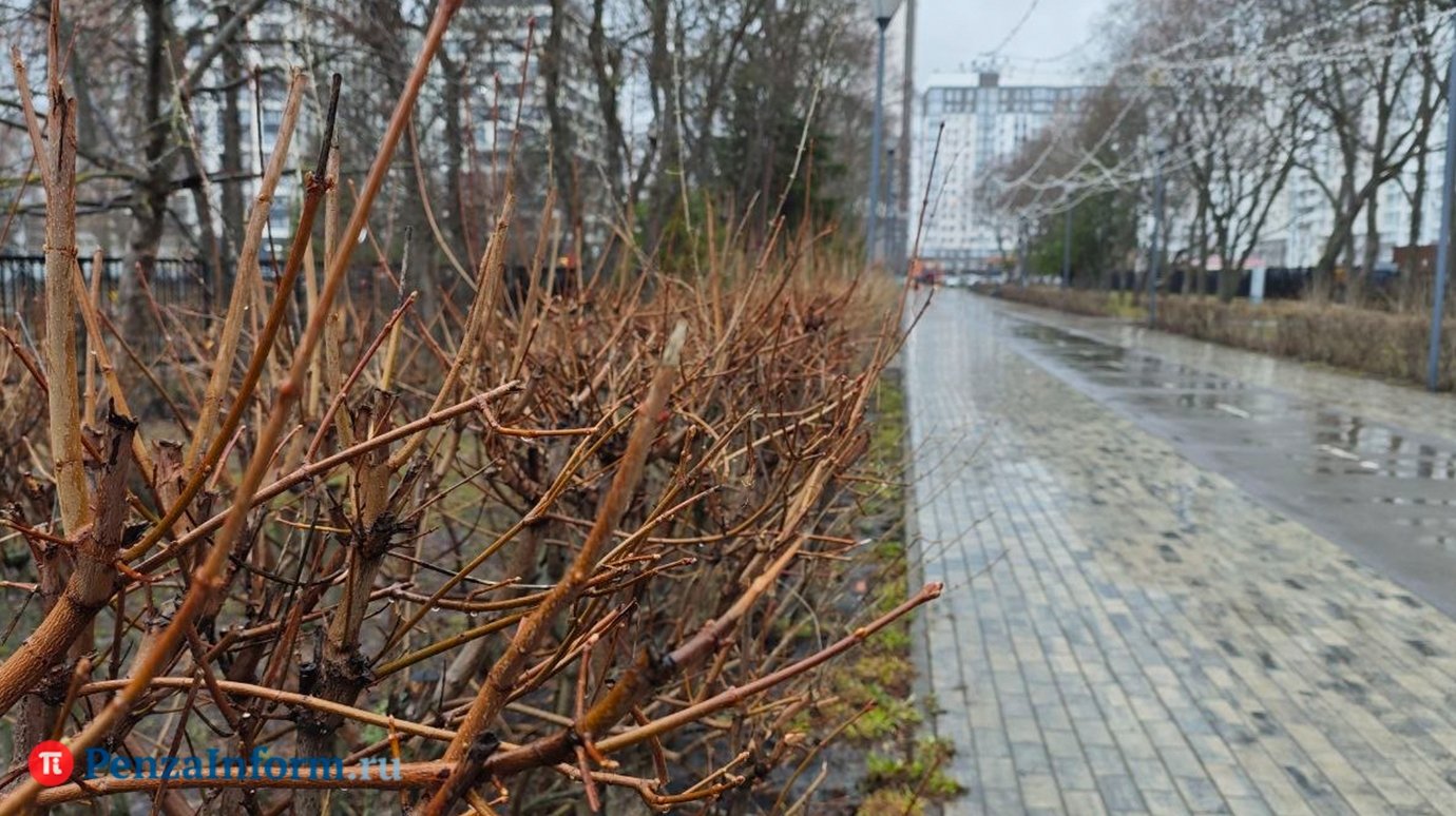 10 апреля в Пензенской области снова ожидается дождь