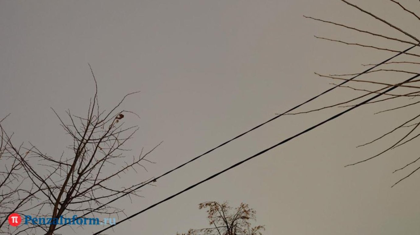 В Пензенской области снова ввели режим «Ракетная опасность»