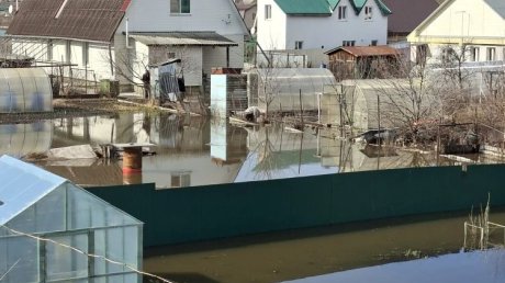Жители Кривозерья жалуются на подтопление участков