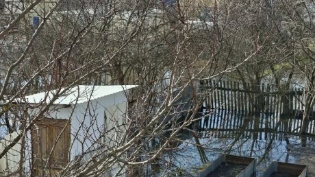 Жители Кривозерья жалуются на подтопление участков