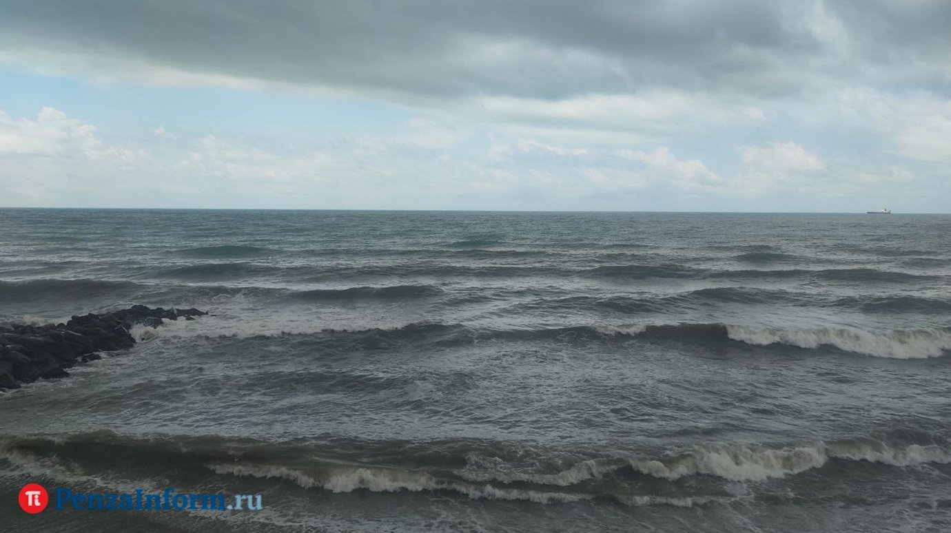 Сотни мертвых и измазанных в нефтепродуктах птиц нашли в Анапе