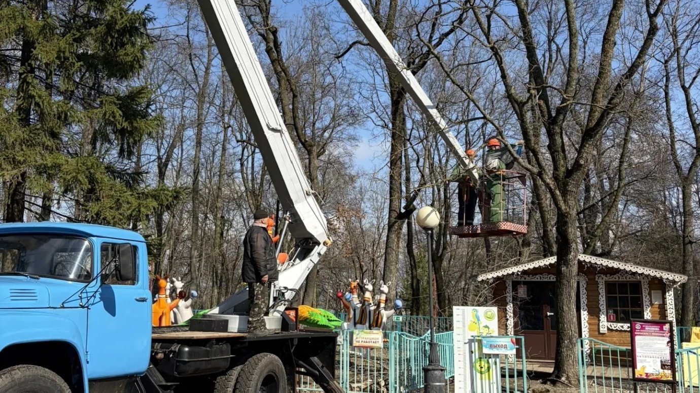 В парке Белинского приступили к опиловке деревьев