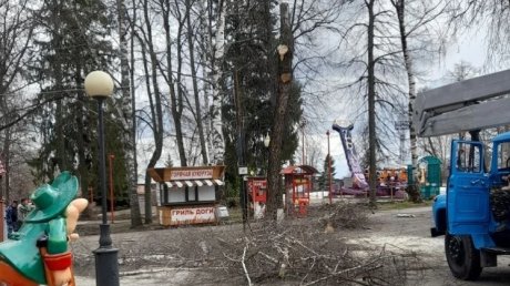 В парке Белинского приступили к опиловке деревьев