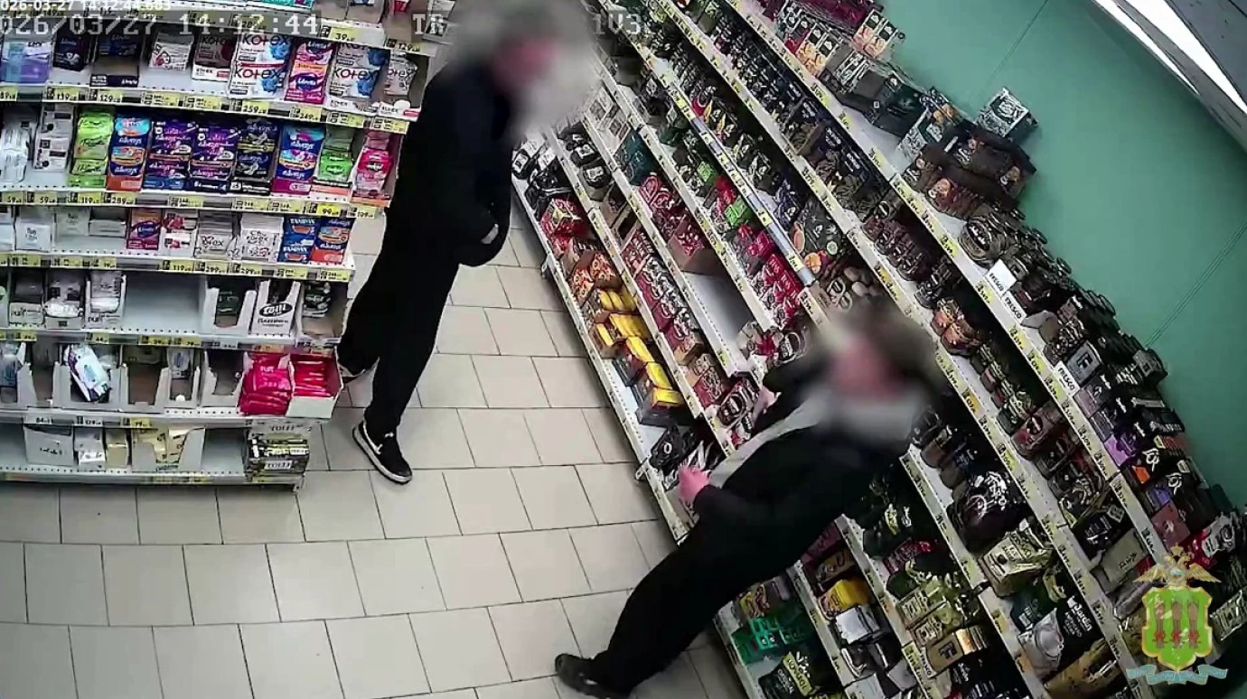 Двое жителей Саранска не захотели уезжать из Пензы и пошли на кражи