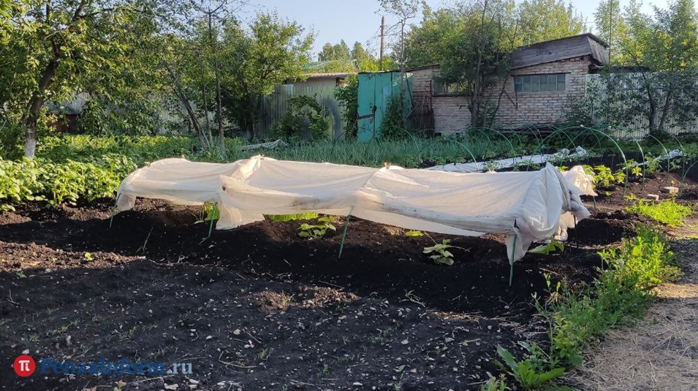 Определена дата старта дачного сезона в Заречном