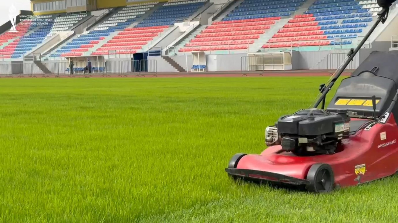 На стадионе «Первомайский» подсеяли 400 кг семян газонной травы