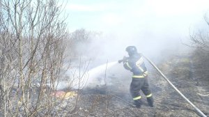 В Пензенском районе потушили вспыхнувший недалеко от трассы мусор