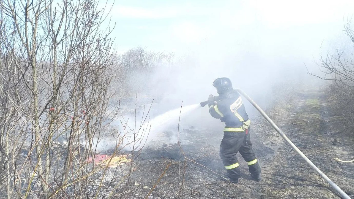 В Пензенском районе потушили вспыхнувший недалеко от трассы мусор