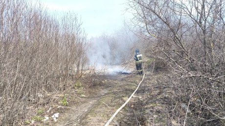 В Пензенском районе потушили вспыхнувший недалеко от трассы мусор
