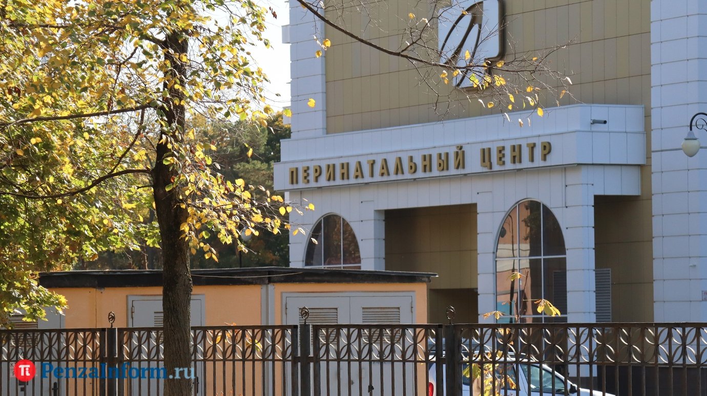 В Пензенской области еще 58 детей родились благодаря бесплатному ЭКО