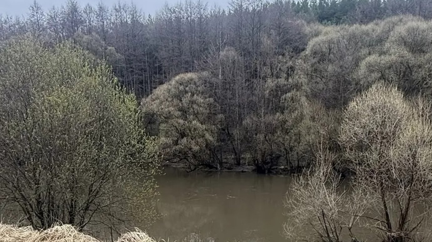 Стали известны подробности трагедии на реке Атмис