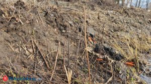 В Пензенском районе отказывались дать землю вдове участника СВО