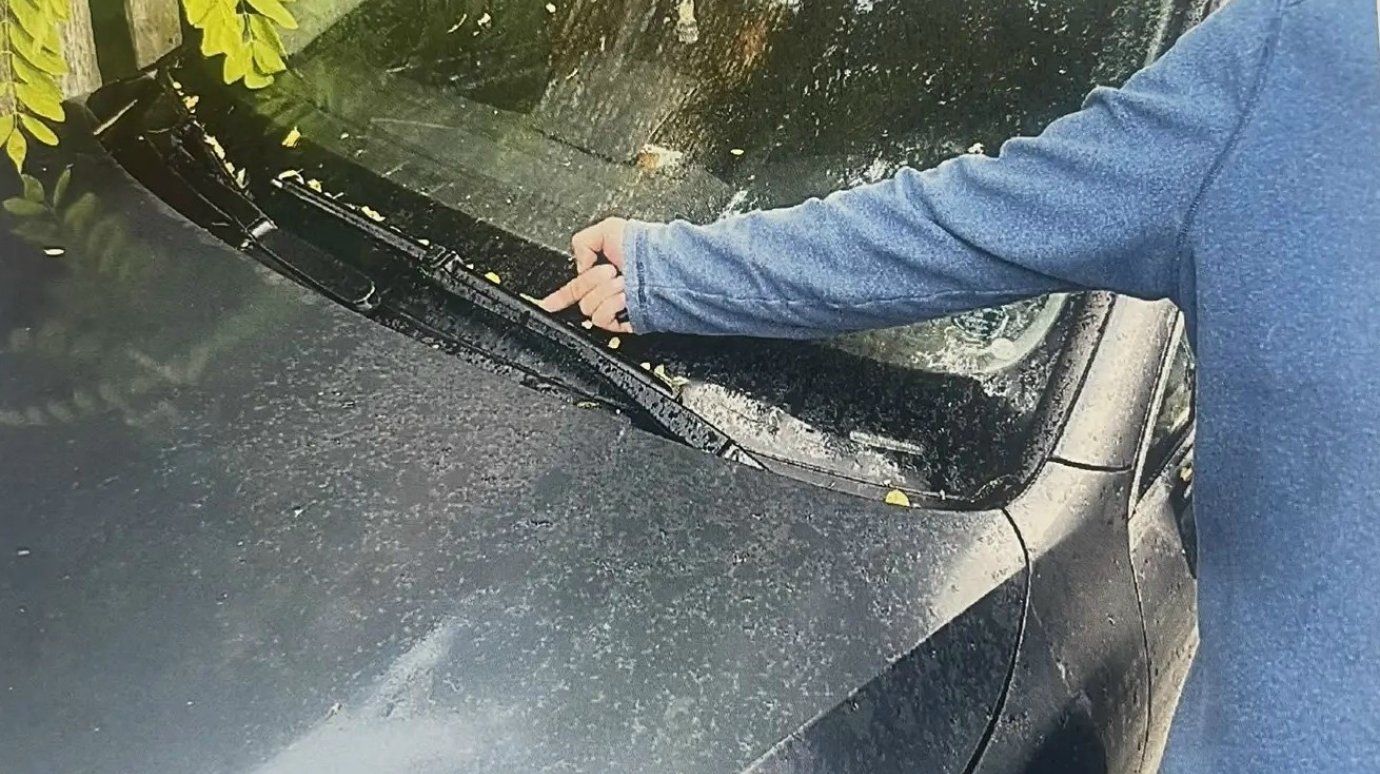 Пензенцу подбросили наркотик, чтобы заставить уйти из бизнеса