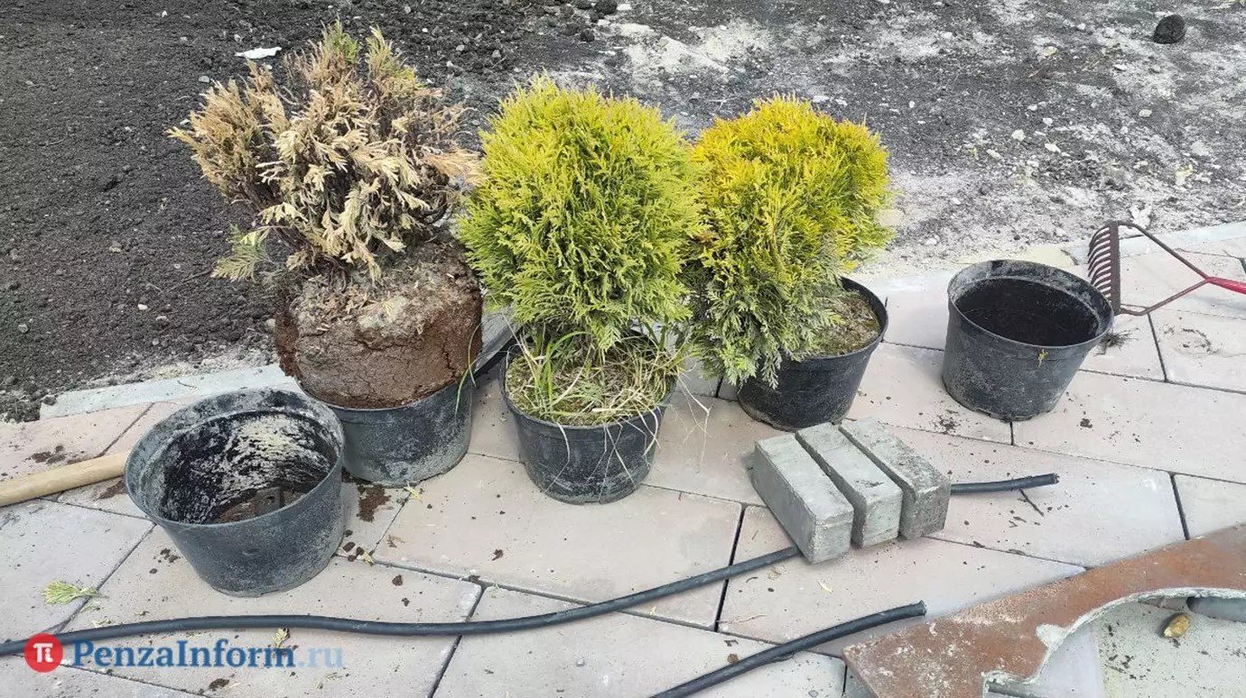 Кузнечанам предоставили на выбор 12 объектов для благоустройства