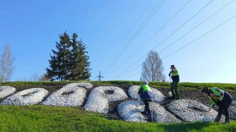 В Пензе решили освежить побелкой камни на газонах