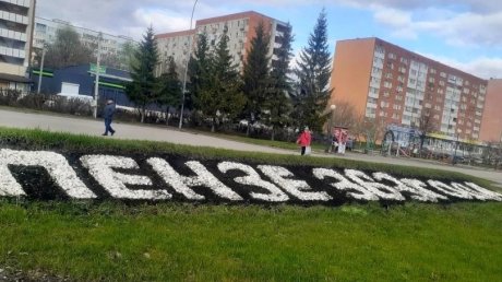 В Пензе решили освежить побелкой камни на газонах