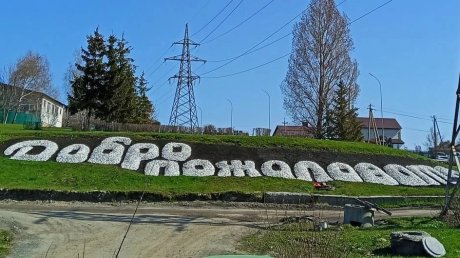 В Пензе решили освежить побелкой камни на газонах