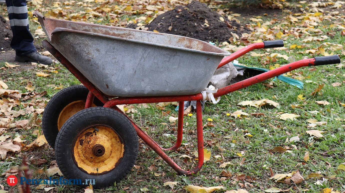 25 апреля пензенцев ждут на областном субботнике