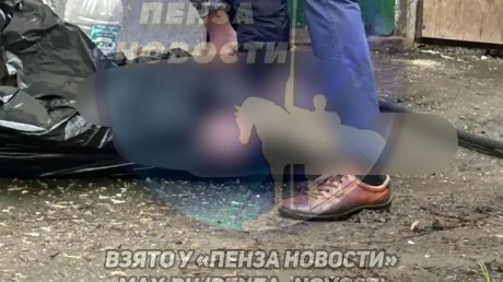 На улице Бакунина в Пензе из-за пожара эвакуировали 7 человек