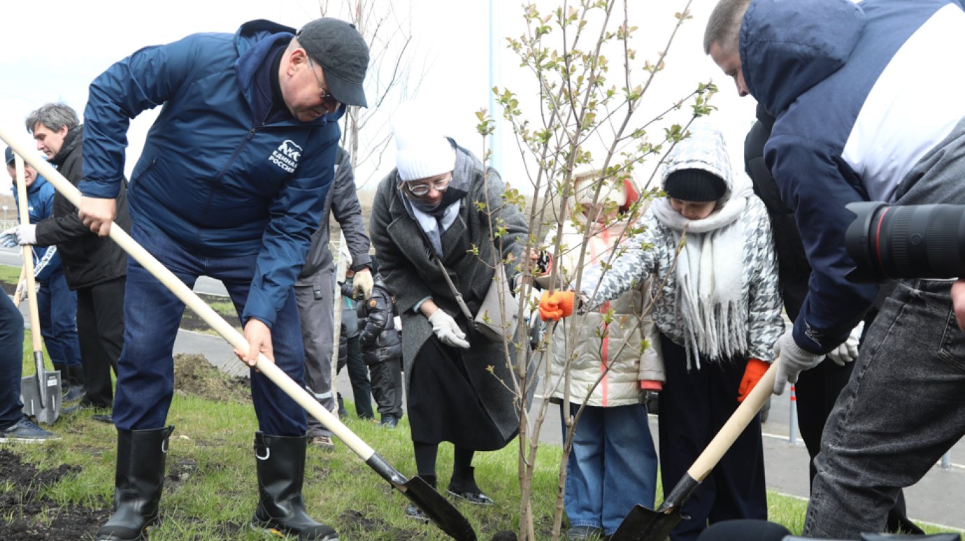 Губернатор посадил деревья на общегородском субботнике