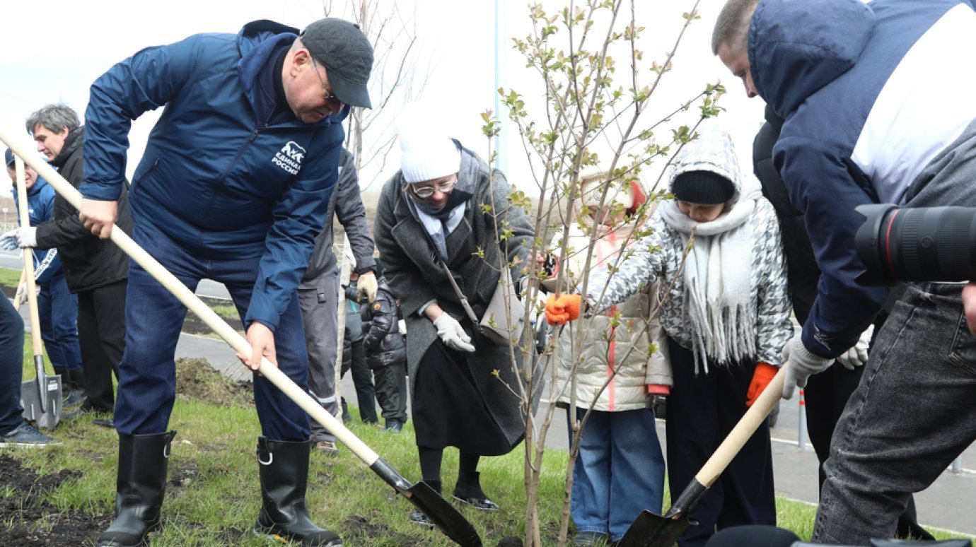 Олег Мельниченко дал старт акции «Зеленая Пенза» в «Лугометрии»