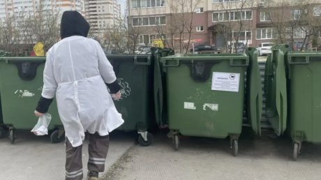 В Пензе борются с крысами на контейнерных площадках