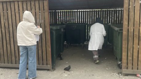 В Пензе борются с крысами на контейнерных площадках