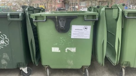 В Пензе борются с крысами на контейнерных площадках