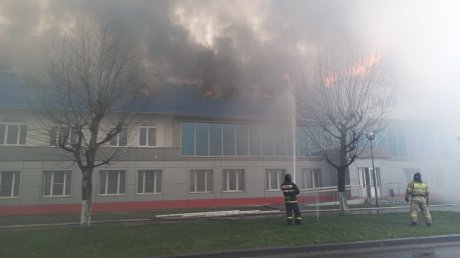 Появились кадры с места серьезного пожара в Засечном