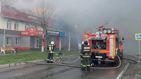 Появились кадры с места серьезного пожара в Засечном