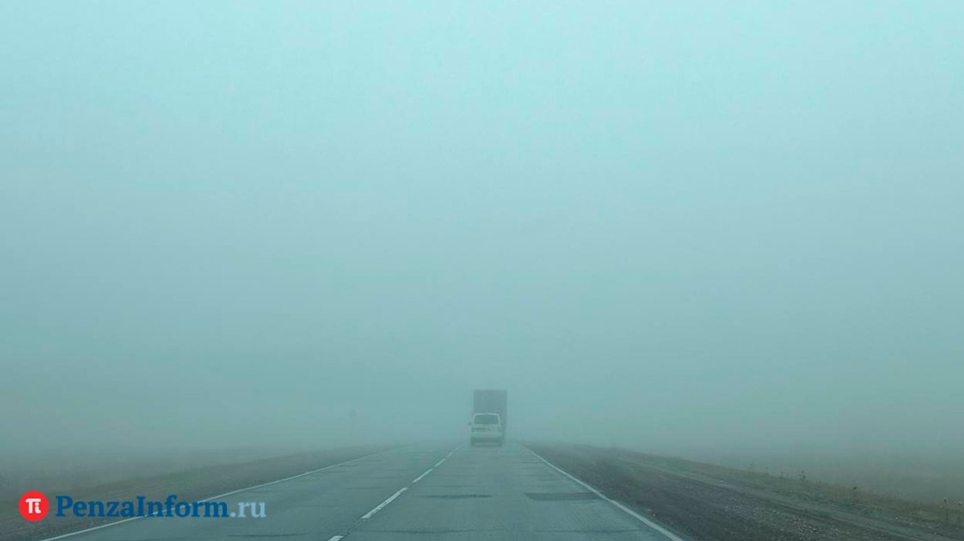 Пензенец стал фигурантом уголовного дела после находки на трассе