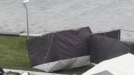 Даже природа против: пензенцы раскритиковали рынок на Московской