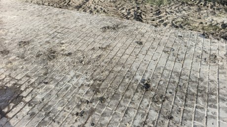 У памятника блокадникам на Западной Поляне вновь начался ремонт