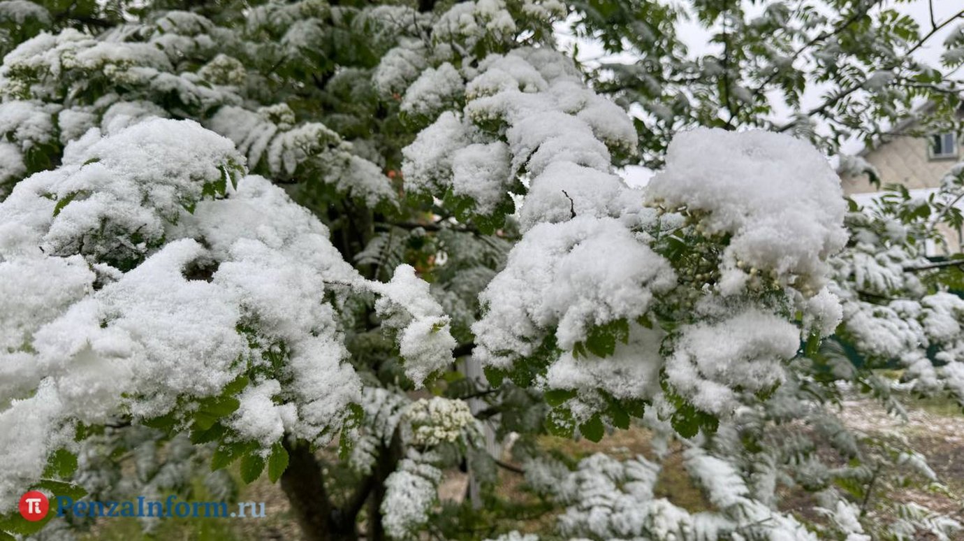 Россиянам спрогнозировали еще более резкие скачки погоды