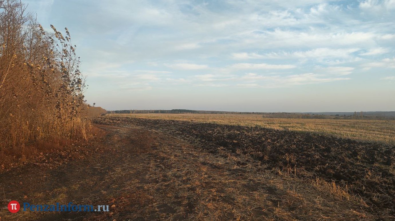 В Пензенской области ввели режим ЧС из-за гибели сельхозкультур