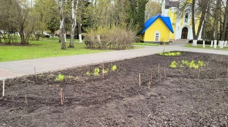 В Пензе приступили к разбивке будущих цветников