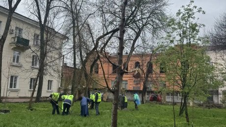 В Пензе высадили деревья на ул. Кирова, Некрасова и Володарского