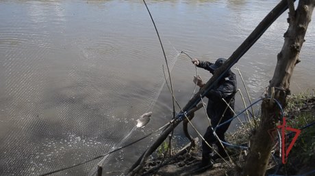 В Пензенской области рыбаков-нарушителей ищут с помощью БПЛА